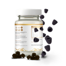 Load image into Gallery viewer, Prophetic Blends Himalayan Shilajit Gummies bottle rear label and raspberry gummies
